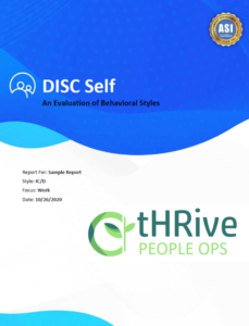 DISC Assessment